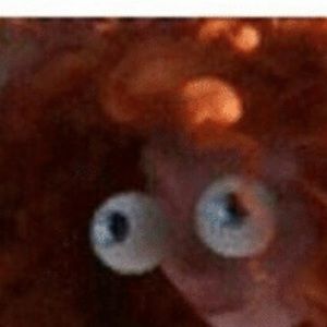 Meet your Posher, Xavier